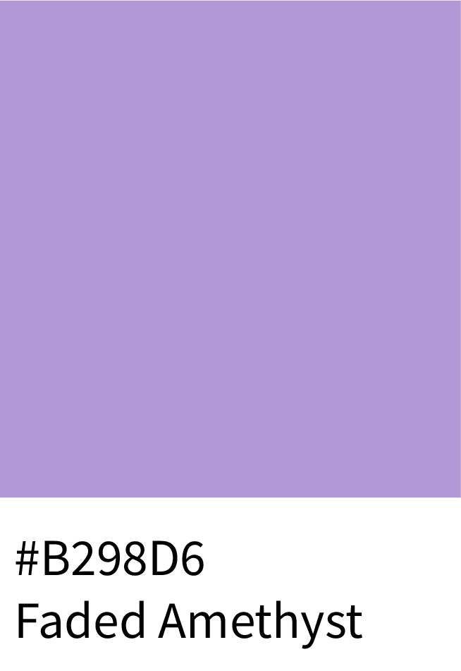 Faded Amethyst Color Hex Code #B298D6