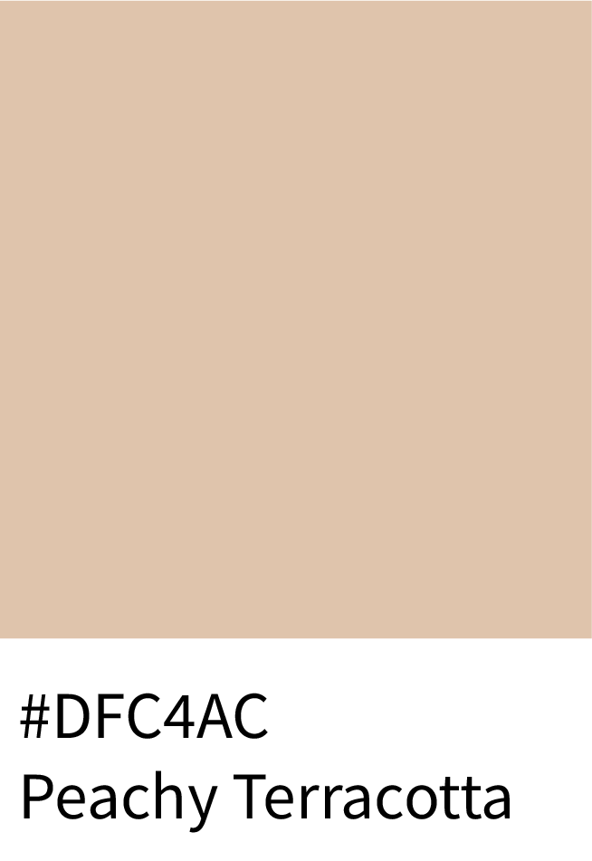 #DFC4AC Peachy Terracotta Color Hex Code