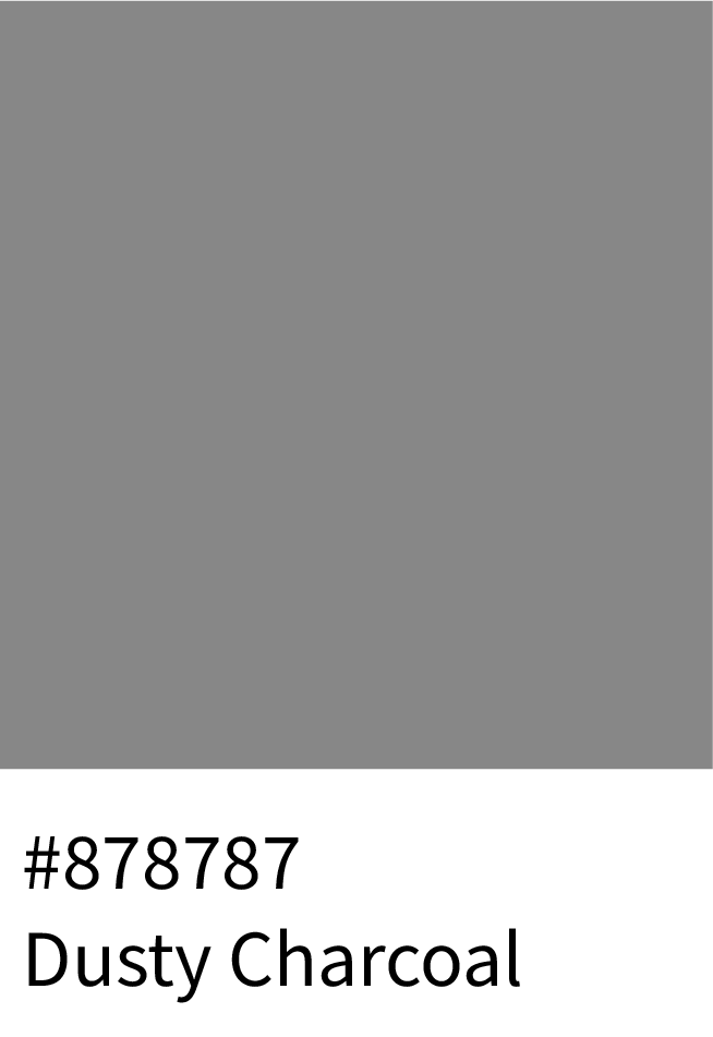 Dusty Charcoal Color Hex Code #878787