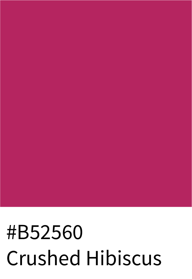 Crushed Hibiscus Color Hex Code #B52560