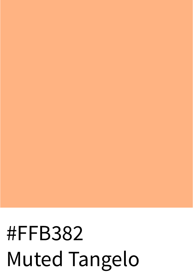 Muted Tangelo Color Hex Code #FFB382