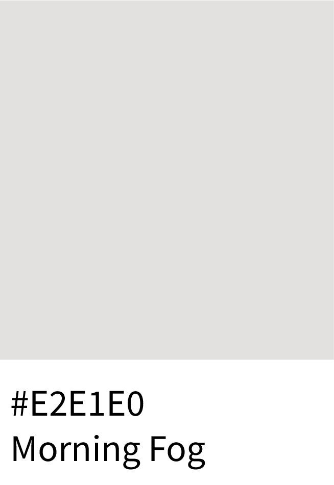Morning Fog Color Hex Code #E2E1E0