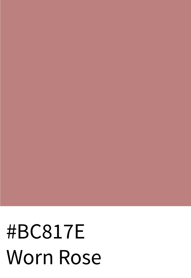 #BC817E Worn Rose Color Hex Code