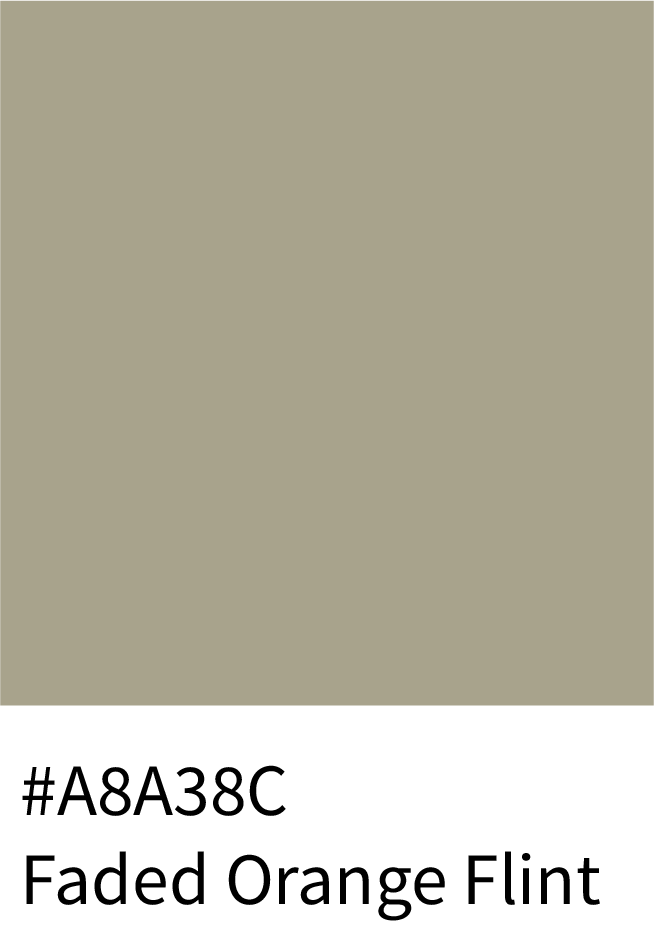 Faded Orange Flint Color Hex Code #A8A38C