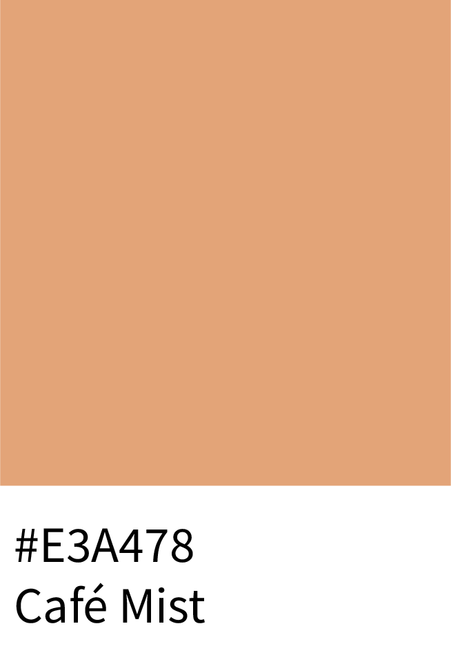 #E3A478 Café Mis Color Hex Code