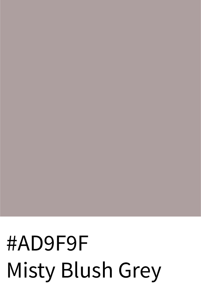 Misty Blush Grey Color Hex Code #AD9F9F