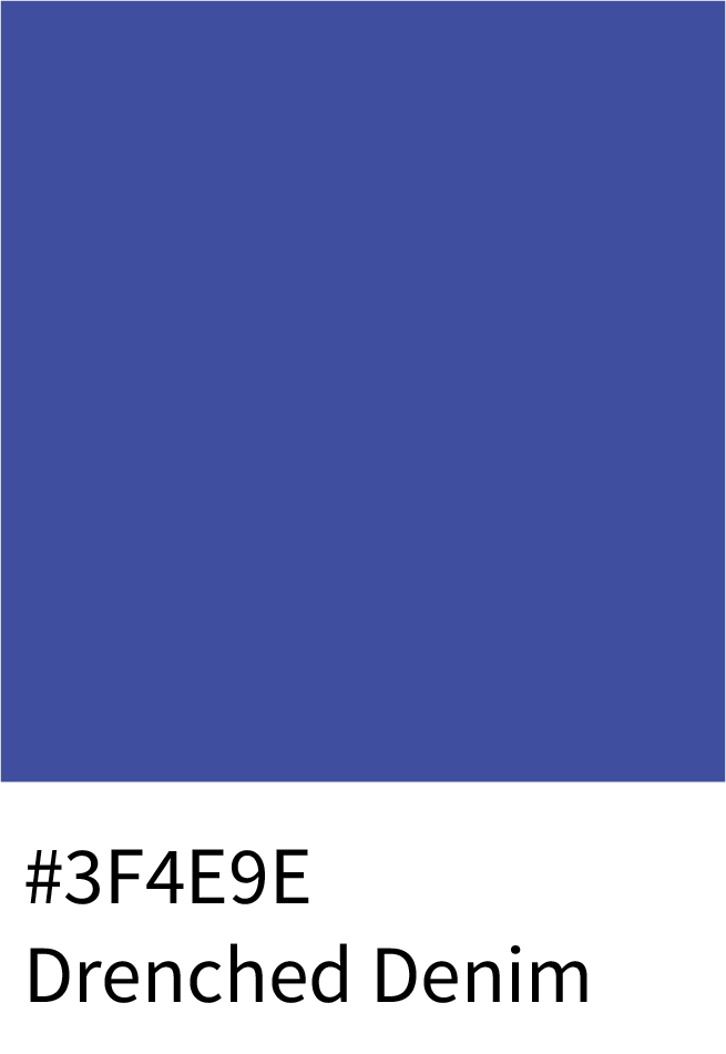 Drenched Denim Color Hex Code #3F4E9E