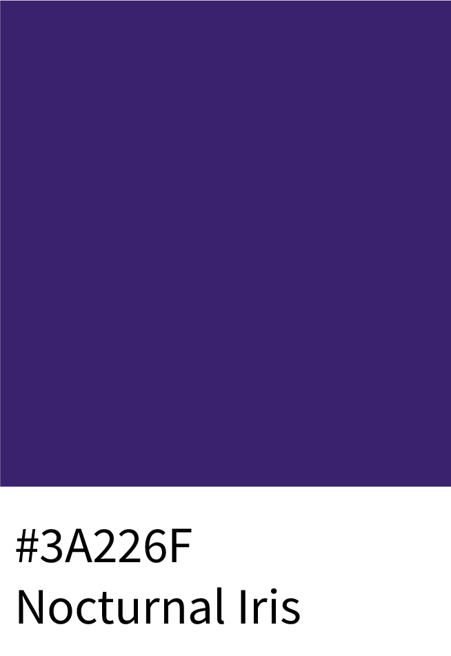 Nocturnal Iris Color Hex Code #3A226F