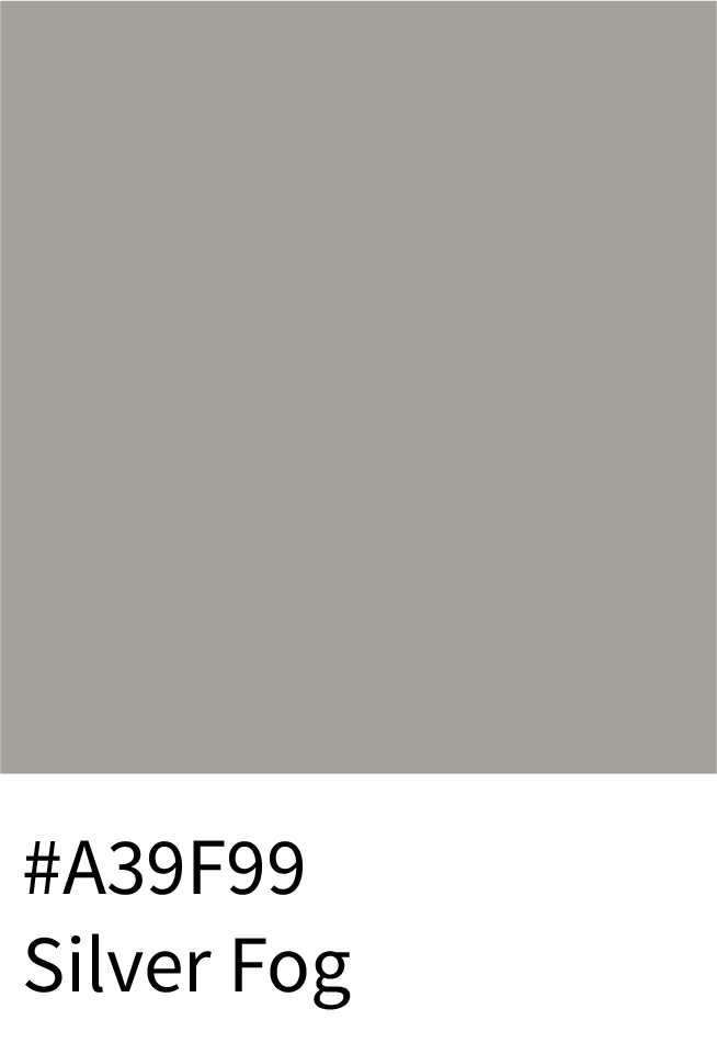 Silver Fog Color Hex Code #A39F99