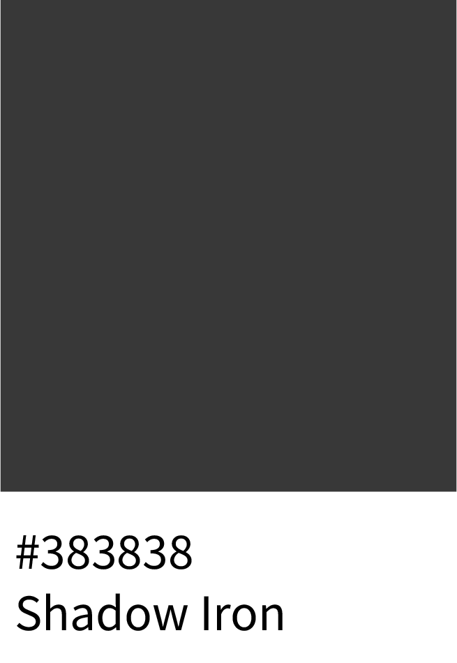 Shadow Iron Color Hex Code #383838