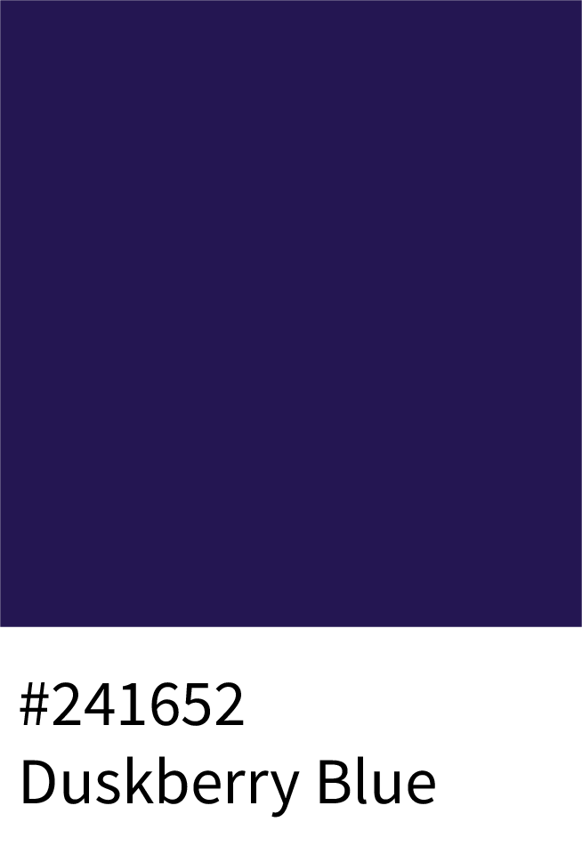 Duskberry Blue Color Hex Code #241652
