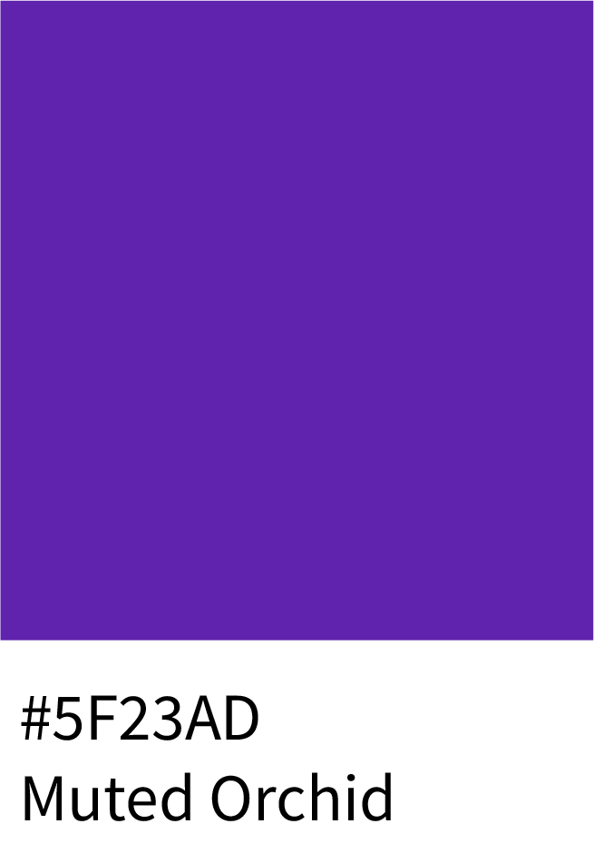 Muted Orchid Color Hex Code #5F23AD