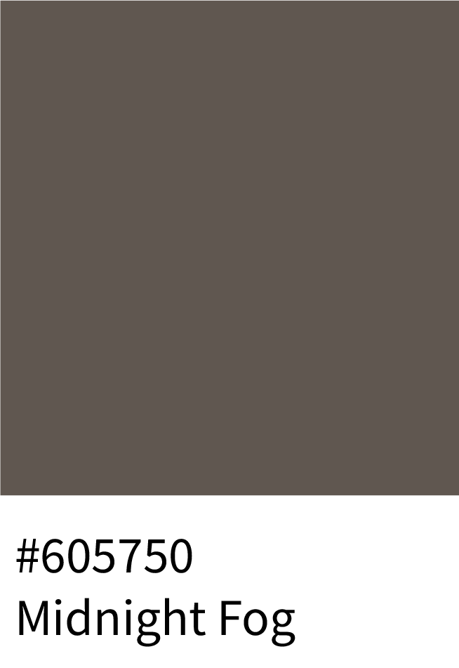 Midnight Fog Color Hex Code #605750
