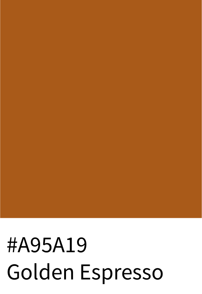 #A95A19 Golden Espresso Color Hex Code