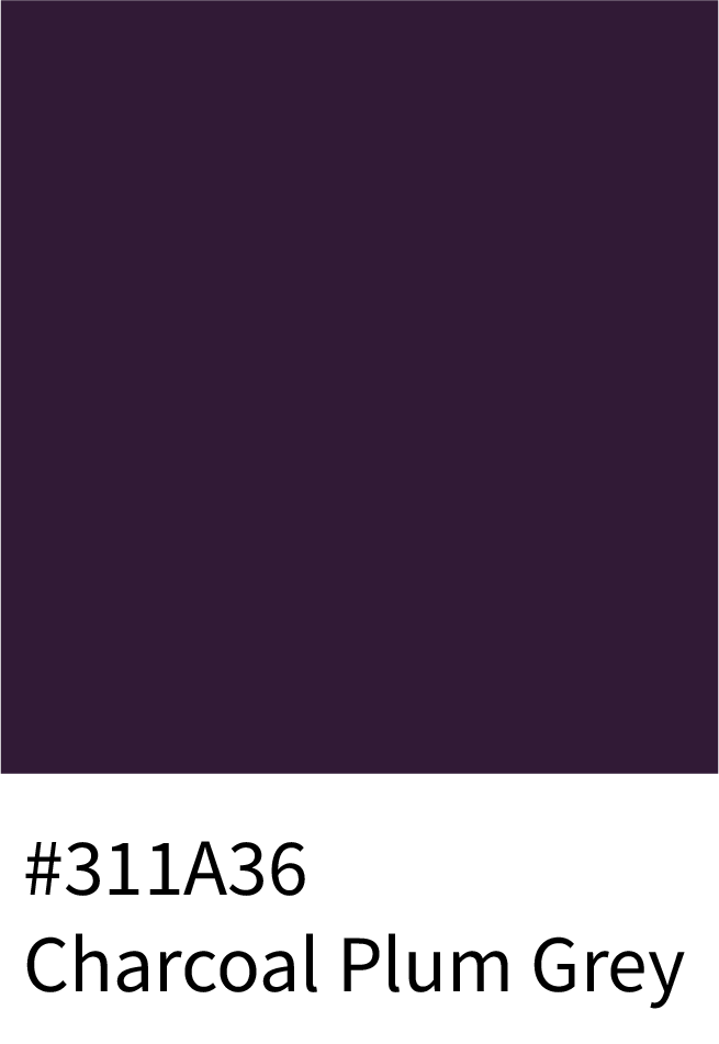 Charcoal Plum Grey Color Hex Code #311A36