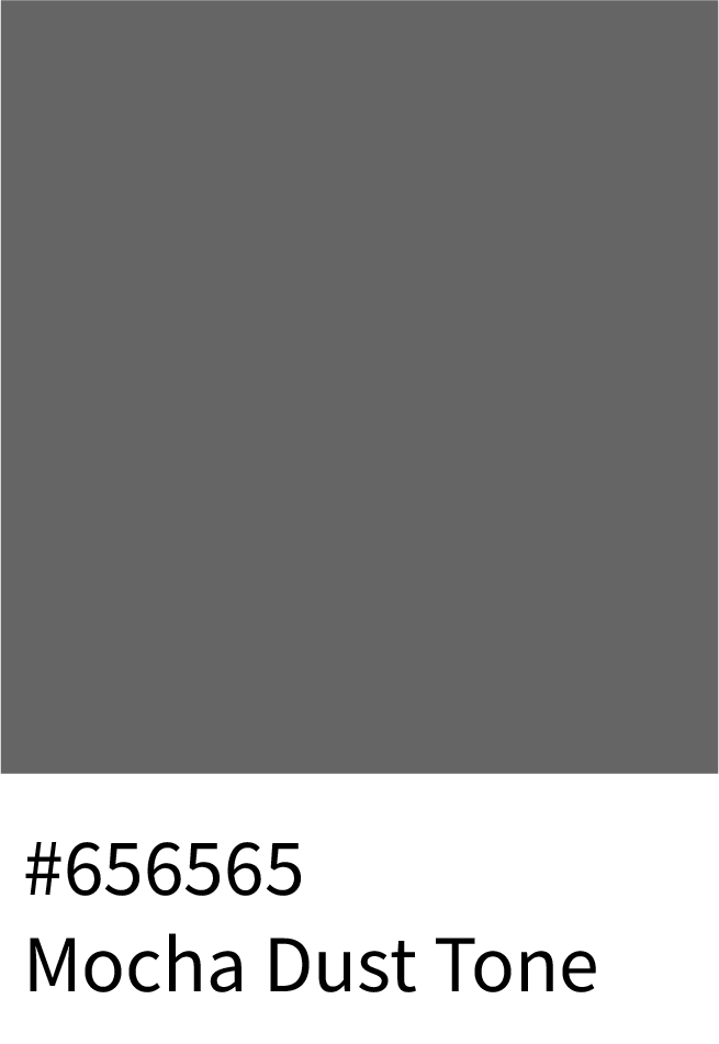 Mocha Dust Tone Color Hex Code #656565