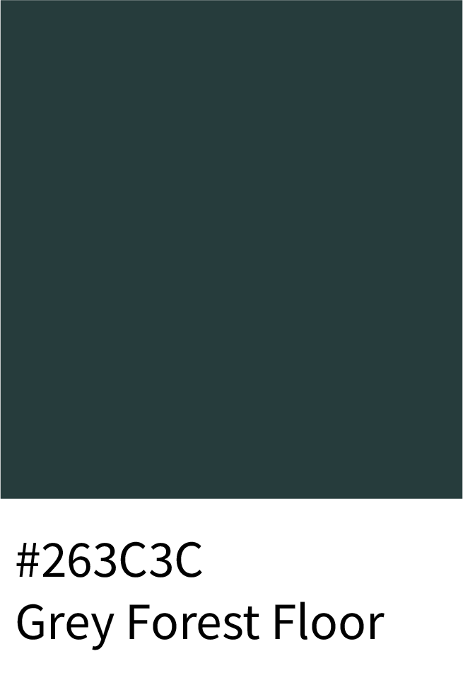 Grey Forest Floor Color Hex Code #263C3C