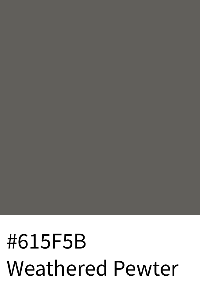Weathered Pewter Color Hex Code #615F5B