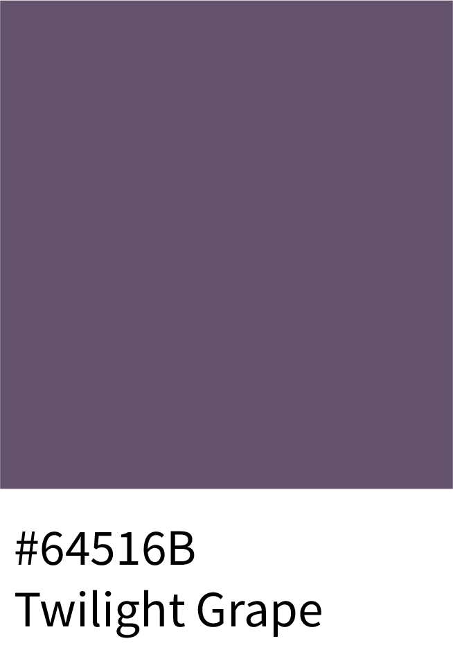 Twilight Grape Color Hex Code #64516B