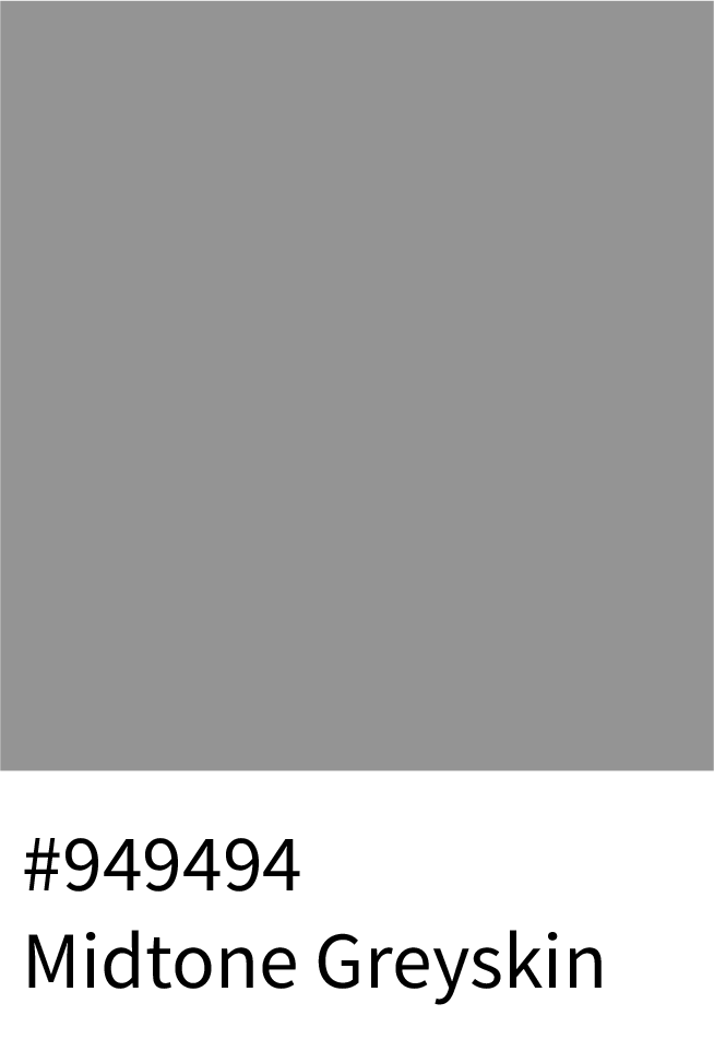 Midtone Greyskin Color Hex Code #949494