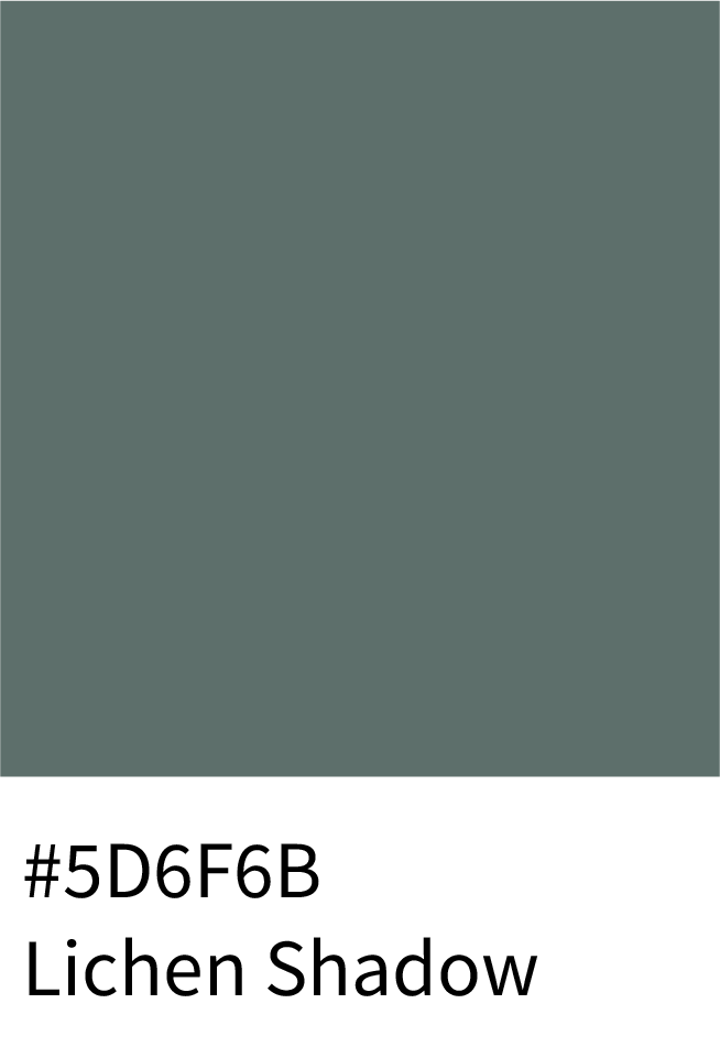 Lichen Shadow Color Hex Code #5D6F6B
