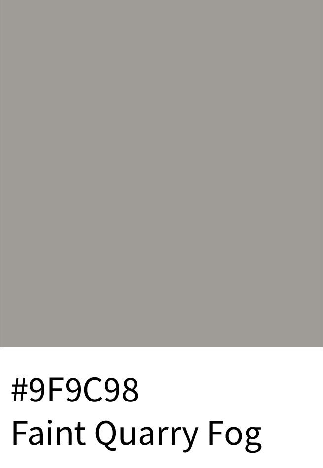 Faint Quarry Fog Color Hex Code #9F9C98