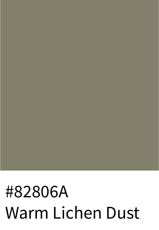 Warm Lichen Dust Color Hex Code #82806A