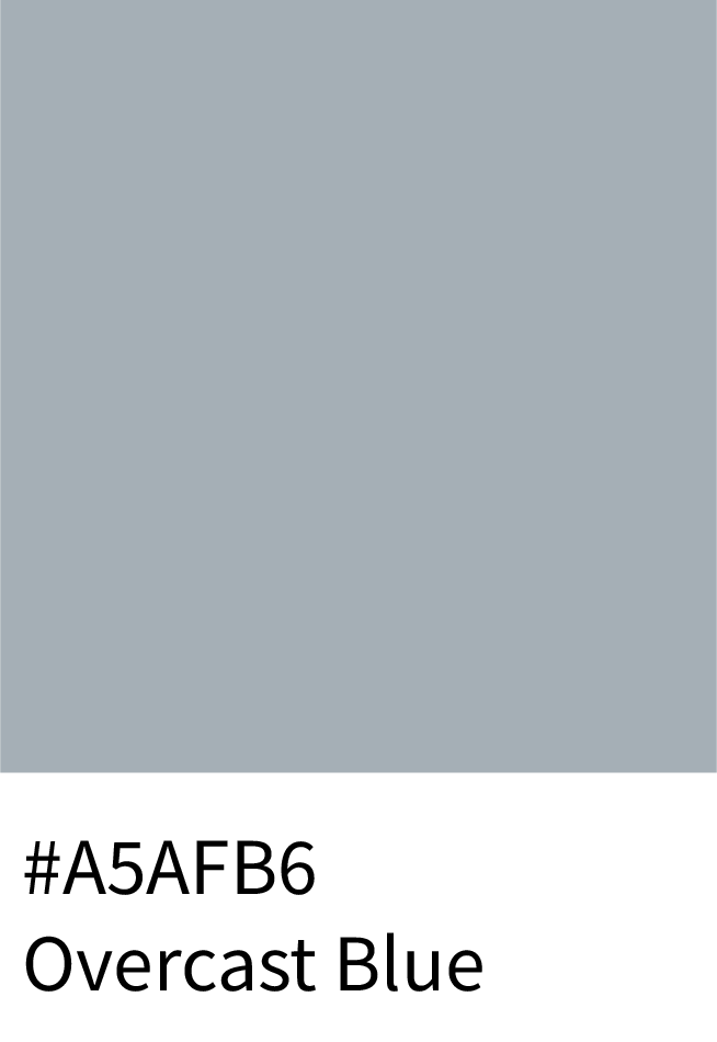 Overcast Blue Color Hex Code #A5AFB6
