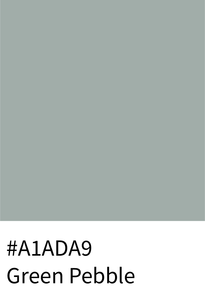 Green Pebble Color Hex Code #A1ADA9