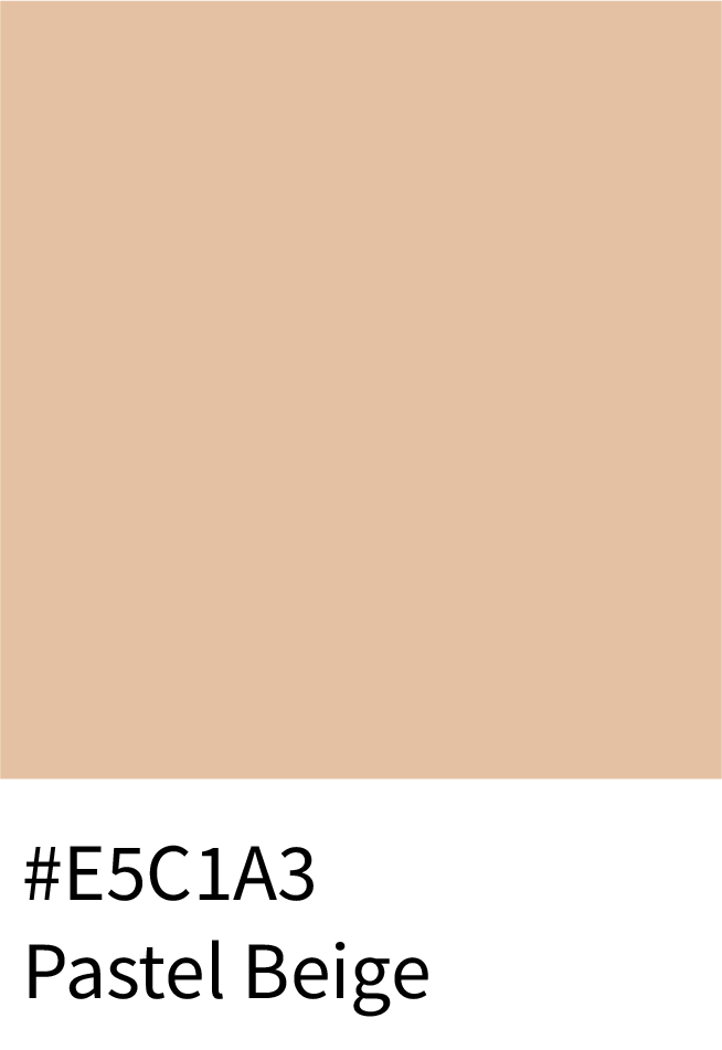 Pastel Beige Color RGB Code (229, 193, 163)