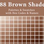 188 Shades of Brown with HEX Codes and Names – Color Palette Guide