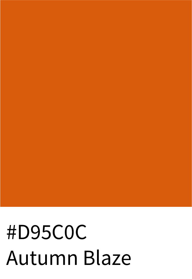 Autumn Blaze Color Hex Code #D95C0C