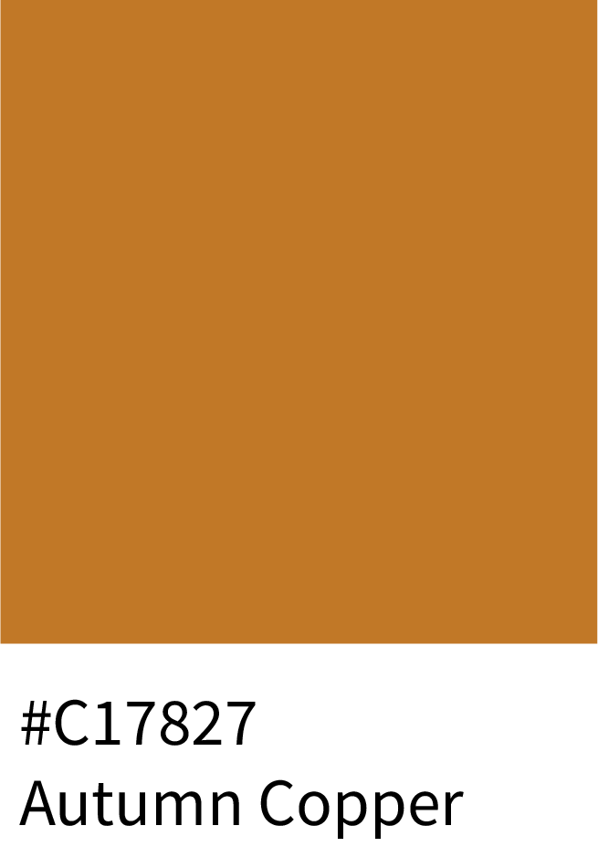Autumn Copper Color Hex Code #C17827