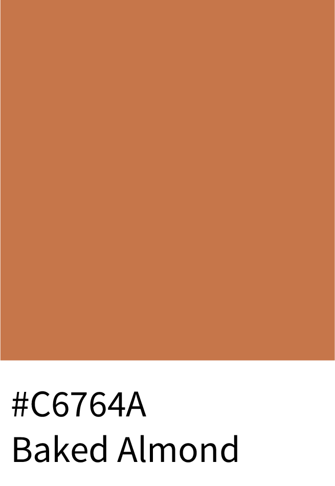 Baked Almond Color Hex Code #C6764A