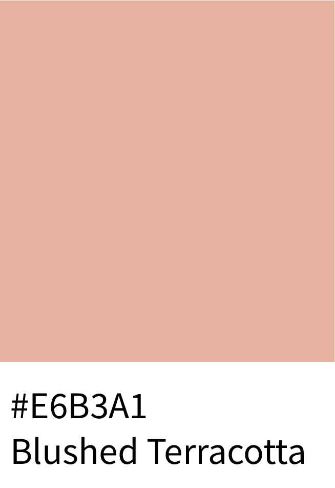 Blushed Terracotta Color Hex Code #E6B3A1