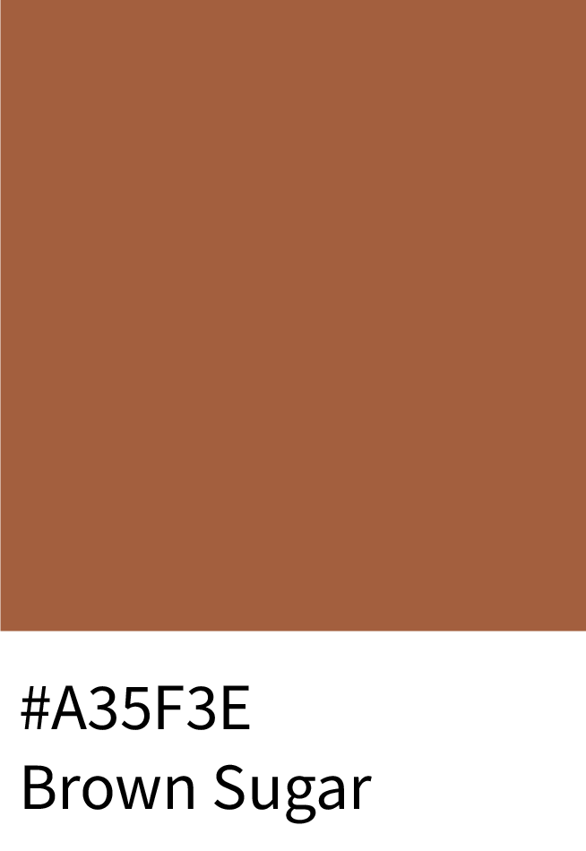 Brown Sugar Color Hex Code #A35F3E