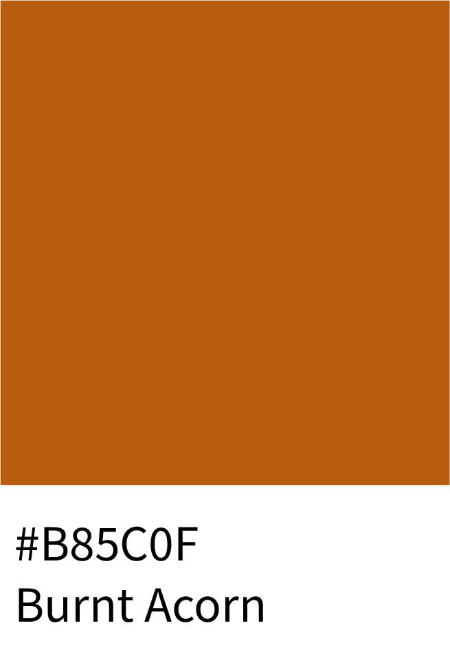 Burnt Acorn Color Hex Code #B85C0F