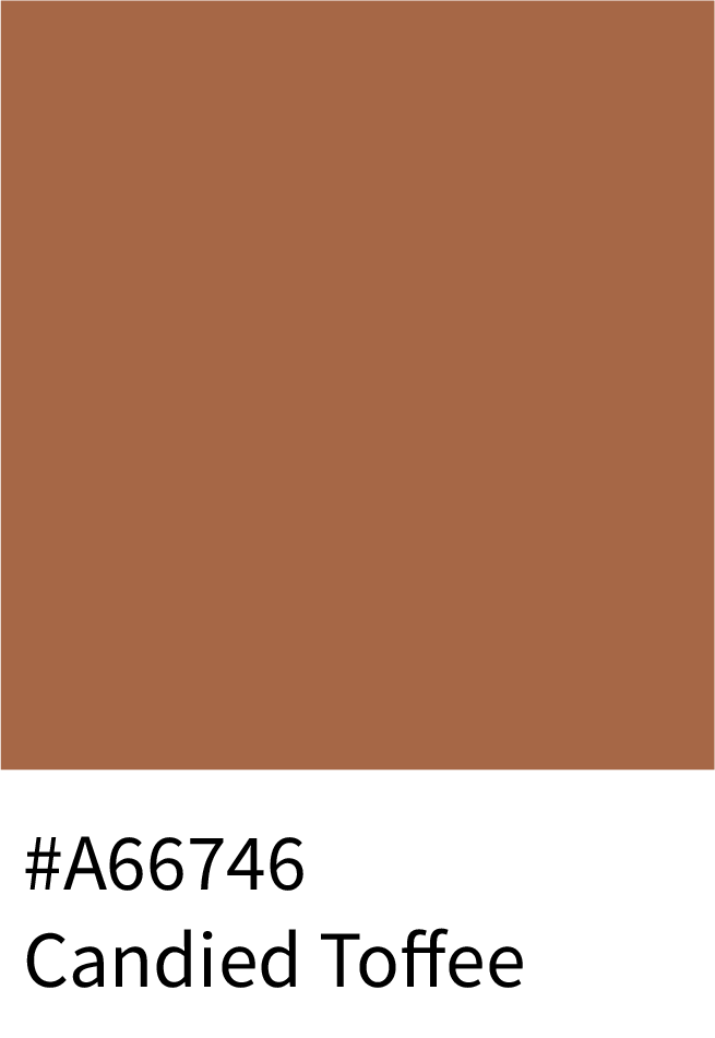 Candied Toffee Color Hex Code #A66746