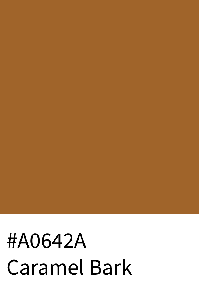 Caramel Bark Color Hex Code #A0642A