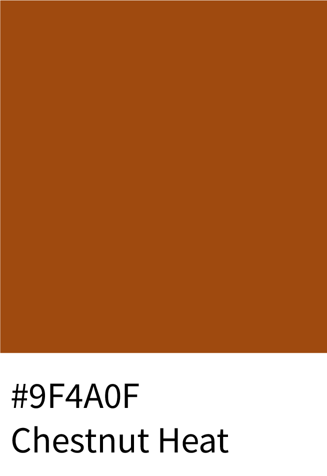 Chestnut Heat Color Hex Code #9F4A0F
