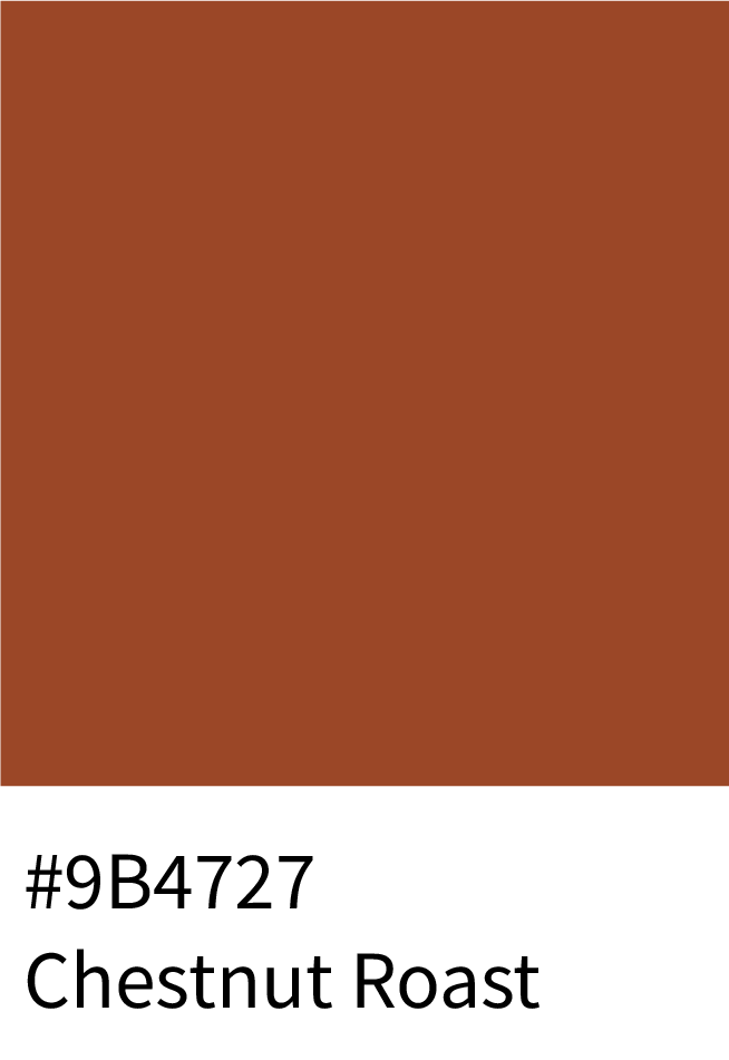 Chestnut Roast Color Hex Code #9B4727