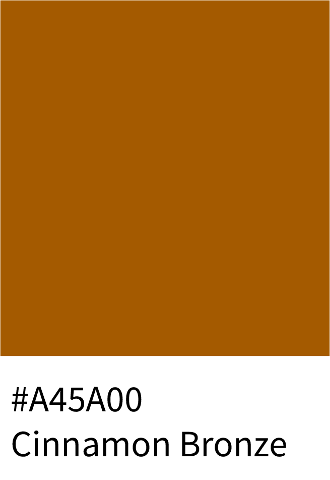 Cinnamon Bronze Color Hex Code #A45A00