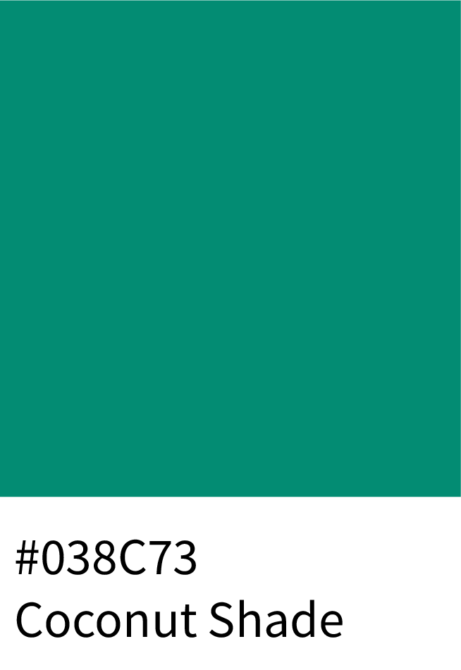 Coconut Shade Color Hex Code #048C73
