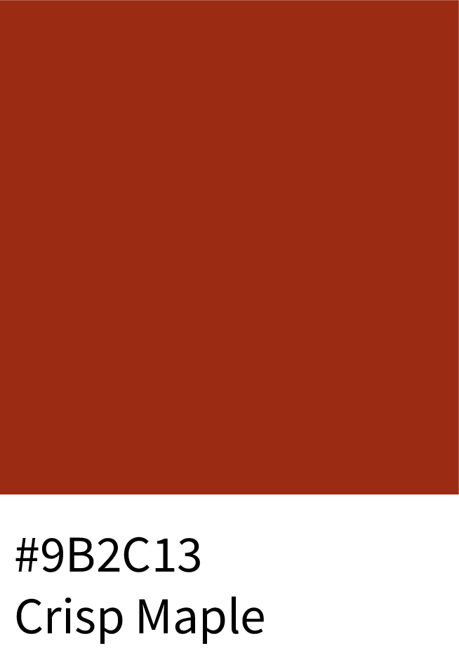 Crisp Maple Color Hex Code #9B2C13