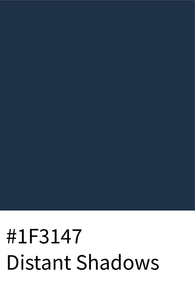 Distant Shadows Color Hex Code #1F3147