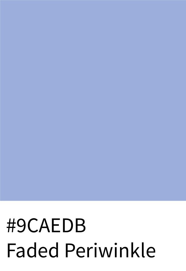 Faded Periwinkle Color Hex Code #9CAED8