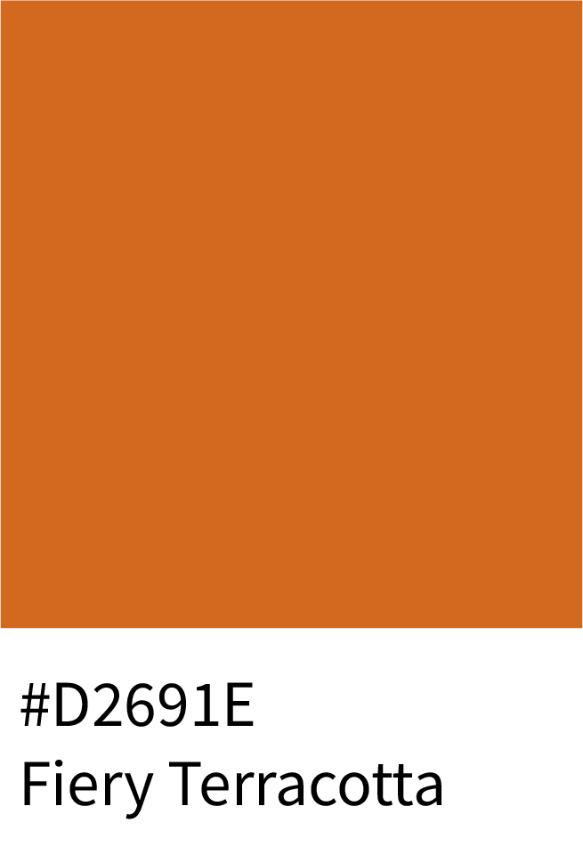 Fiery Terracotta Color Hex Code #D2691E