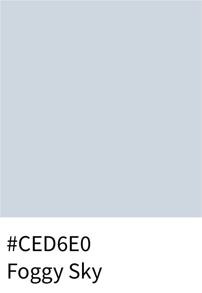 Foggy Sky Color Hex Code #CED6E0