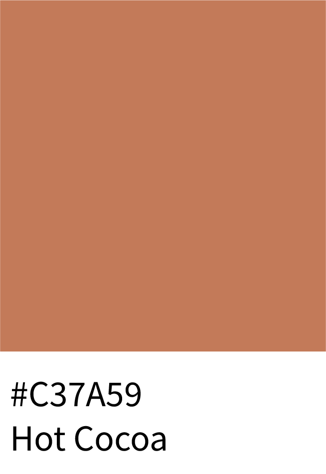 Hot Cocoa Color Hex Code #C37A59