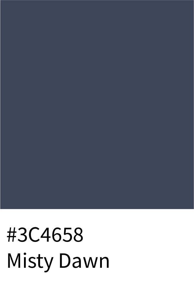 Misty Dawn Color Hex Code #3C4658